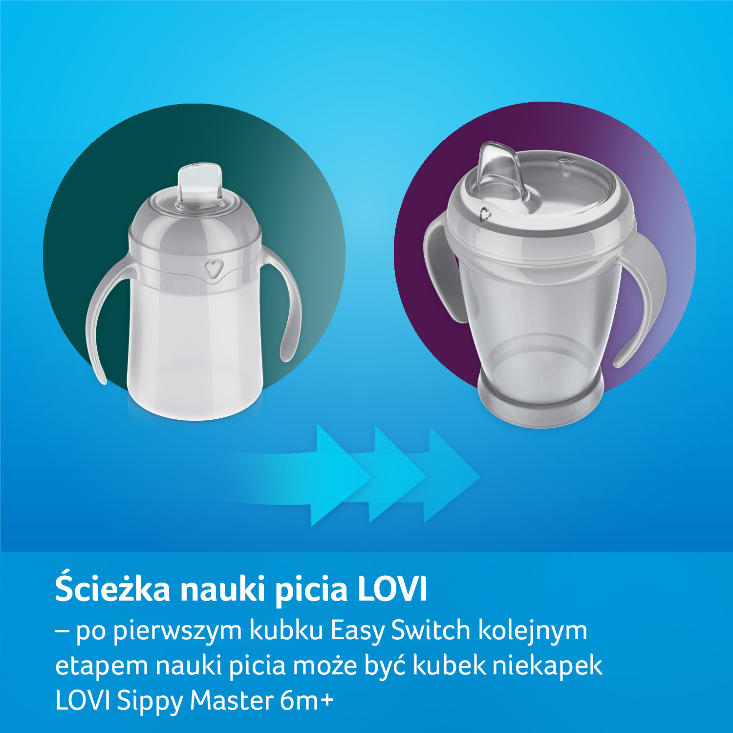 Lovi l Buddy Bear, pierwszy kubek Easy Switch 150 ml, 1 szt.