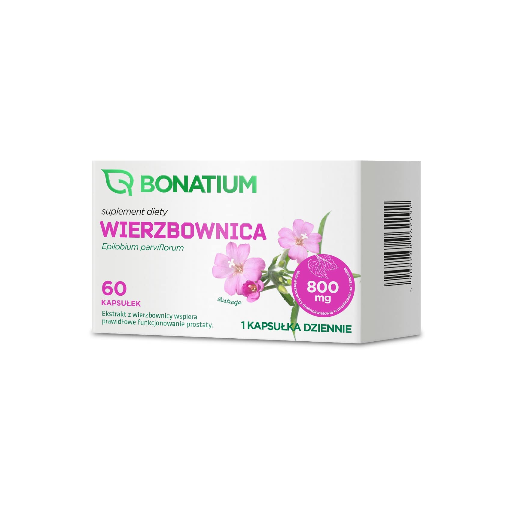 Bonatium Wierzbownica, 60 kapsułek