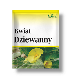 Kwiat Dziewanny