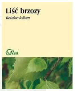 Liść brzozy , zioła do zaparzania wspomagająco jako środek moczopędny w stanach zapalnych, 50 g
