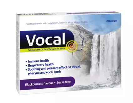 Vocal, czarna porzeczka, 24 pastylki