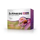 Echinacea, kapsułki ze składnikami wspierającymi odporność, 50 szt. kapsułki ze składnikami wspierającymi odporność, 50 szt.