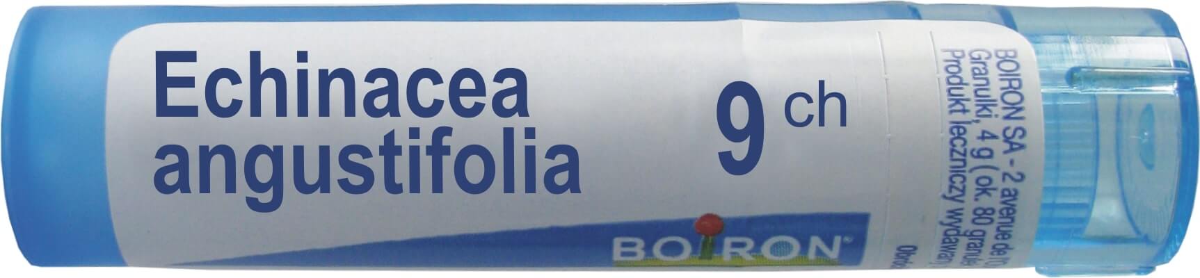 Boiron Echinacea Angustifolia 9 CH granulki, 4 g