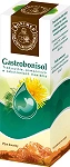 Gastrobonisol płyn na poprawę trawienia, 100 ml