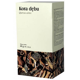 Kora dębu