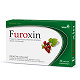 Furoxin, tabletki powlekane ze składnikami wspierającymi układ moczowy, 30 szt. tabletki powlekane ze składnikami wspierającymi układ moczowy, 30 szt.