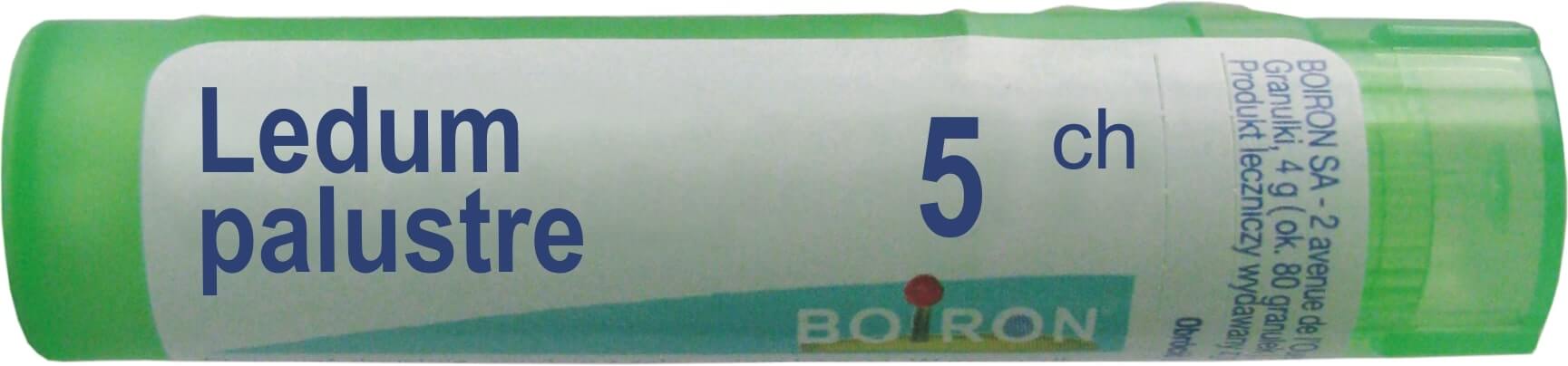 Boiron Ledum Palustre 5 CH  granulki, 4 g