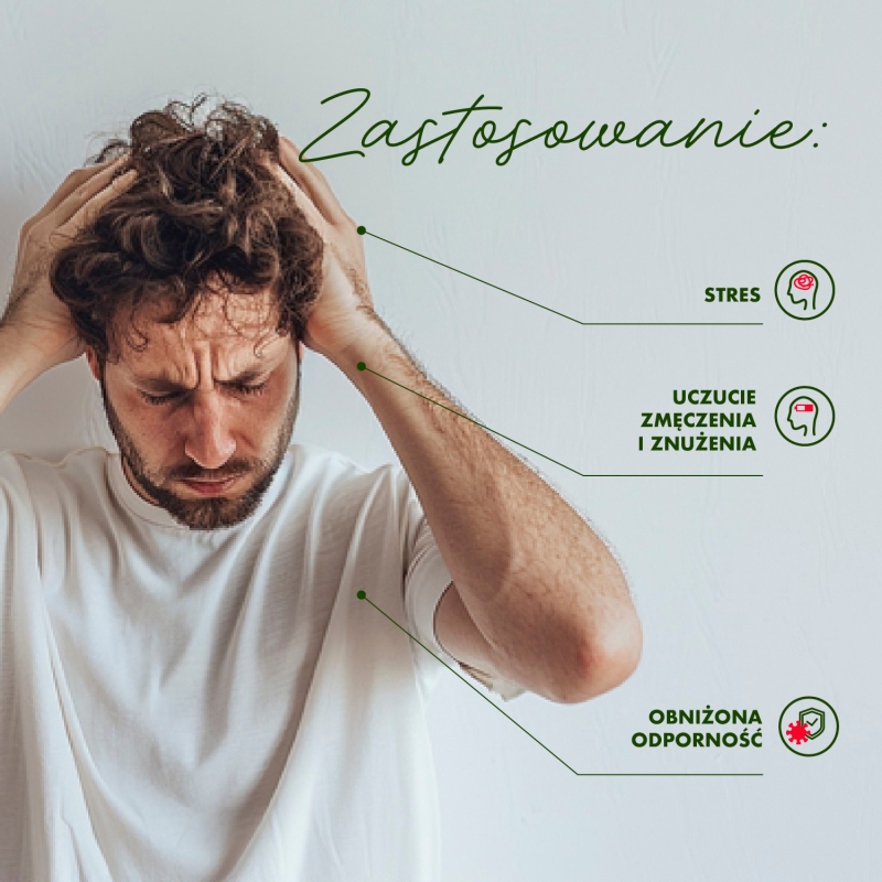 Stress Minus, kapsułki ze składnikami wspomagającymi układ odpornościowy, 30 szt.