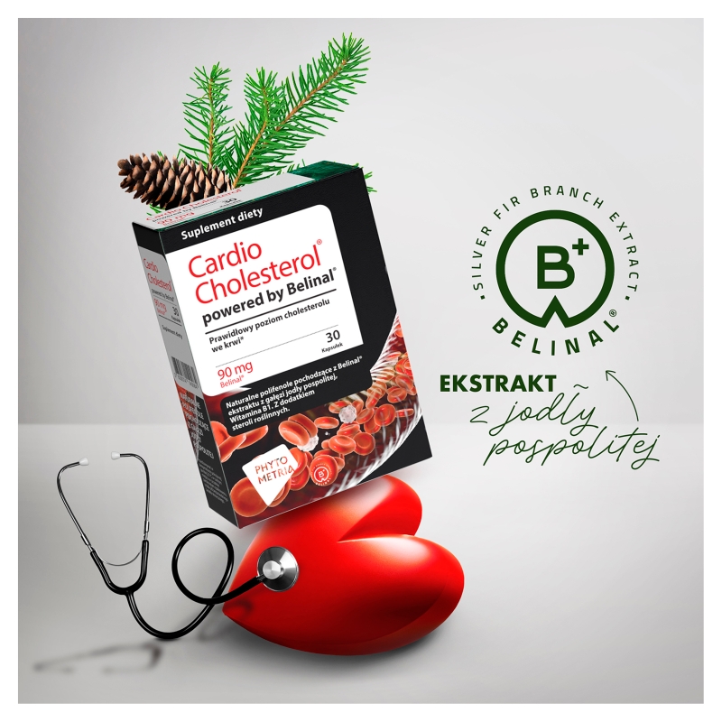 Cardio Cholesterol, kapsułki ze składnikami na utrzymanie odpowiedniego poziomu cholesterolu, 30 szt.