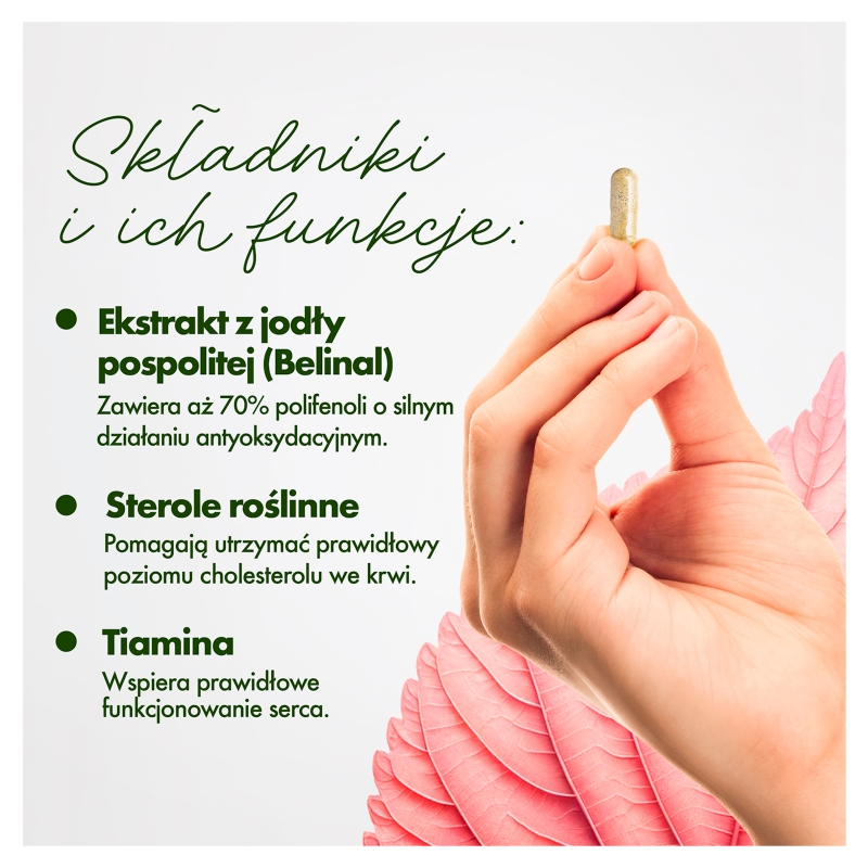 Cardio Cholesterol, kapsułki ze składnikami na utrzymanie odpowiedniego poziomu cholesterolu, 30 szt.