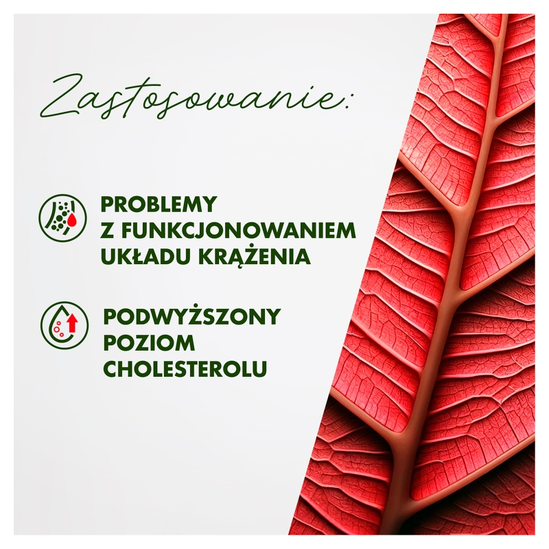 Cardio Cholesterol, kapsułki ze składnikami na utrzymanie odpowiedniego poziomu cholesterolu, 30 szt.