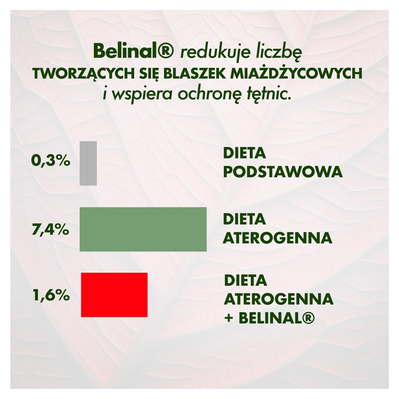 Cardio Cholesterol, kapsułki ze składnikami na utrzymanie odpowiedniego poziomu cholesterolu, 30 szt.