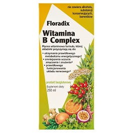 Floradix Witamina B Complex