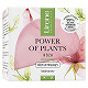 Lirene Power Of Plants Rose, krem liftingujący, 50 ml krem liftingujący, 50 ml