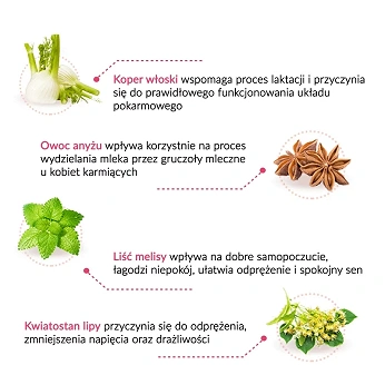 Lactosan Fix, herbata w saszetkach wspomagająca laktację, 20 szt.