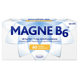 Magne B6