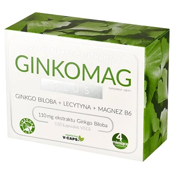 Ginkomag Plus, kapsułki z lecytyną magnezem i witaminą B6, 120 szt.