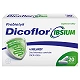 Dicoflor IBSIUM, probiotyk, 20 kapsułek probiotyk, 20 kapsułek