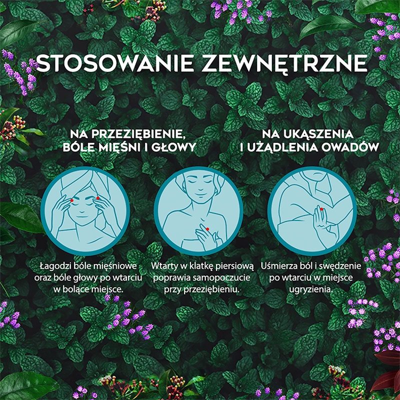 Amol, płyn ziołowy na wzdęcia i niestrawność oraz na skórę w przeziębieniach, bólach głowy i mięśni, butelka 100 ml