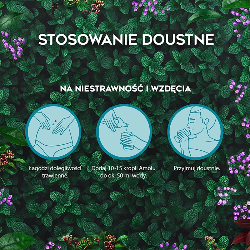Amol, płyn ziołowy na wzdęcia i niestrawność oraz na skórę w przeziębieniach, bólach głowy i mięśni, butelka 250 ml