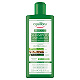 Equilibra Szampon, chroniący kolor włosów, 300 ml chroniący kolor włosów, 300 ml