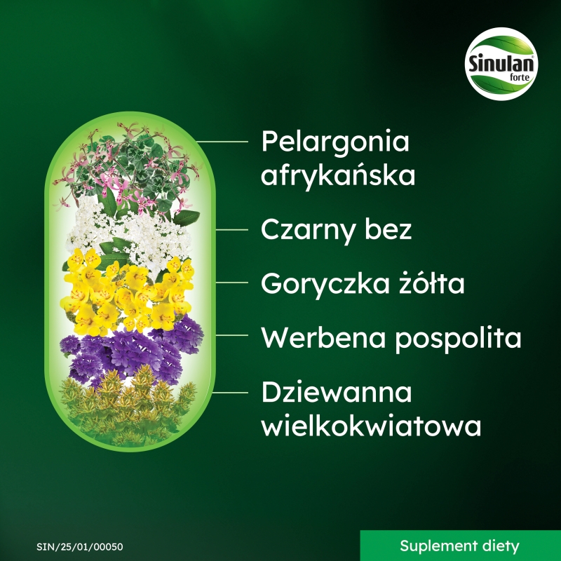 Sinulan Forte, tabletki ze składnikami wspierającymi odporność i drogi oddechowe, 60 szt.