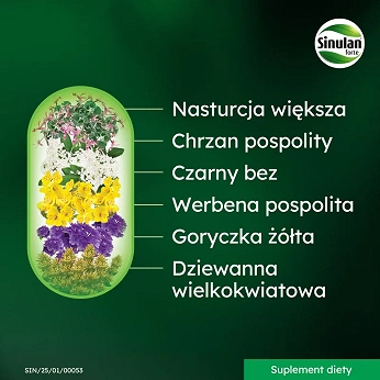 Sinulan Duo Forte, tabletki ze składnikami wspierającymi odporność i drogi oddechowe, 30 szt.