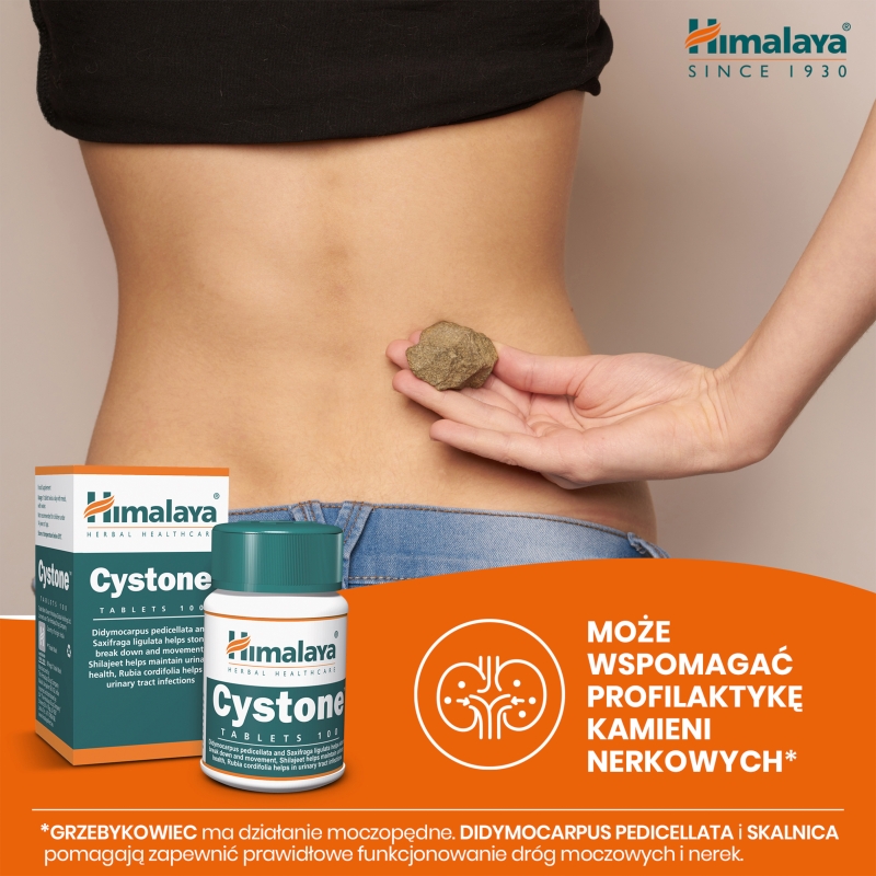 HIMALAYA Cystone , tabletki ze składnikami wspierającymi funkcjonowanie nerek i układu moczowo-płciowego, 100 szt.