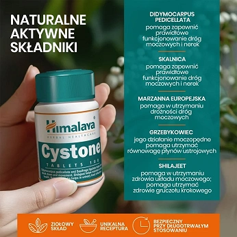 HIMALAYA Cystone , tabletki ze składnikami wspierającymi funkcjonowanie nerek i układu moczowo-płciowego, 100 szt.