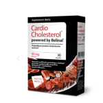 Cardio Cholesterol kapsułki ze składnikami na utrzymanie odpowiedniego poziomu cholesterolu, 30 szt.