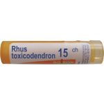 Boiron Rhus Toxicodendron 15 CH granulki, 4 g